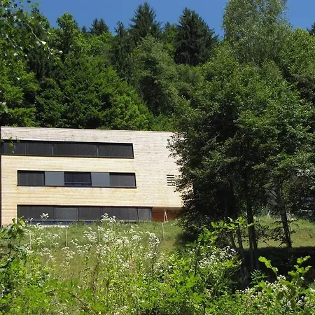 Aktivum Montafon Lejlighed Bartholomäberg