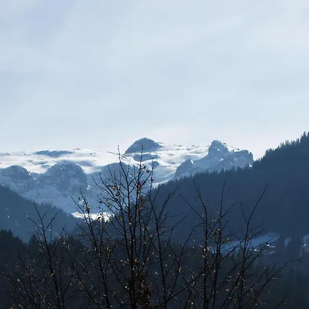 Lejlighed Aktivum Montafon *